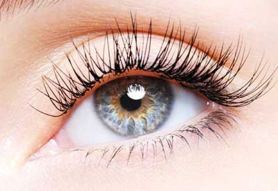 Augenwimpern Behandlungen im mAdame Kosmetikstudio Wimpernlifting und Wimpernkranzverdichtung
