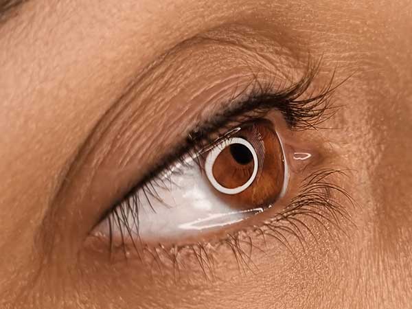 Wimpernkranzverdichtung Permanent Make Up Augenwimpern Behandlungen und Preise